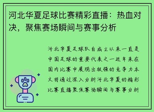 河北华夏足球比赛精彩直播：热血对决，聚焦赛场瞬间与赛事分析